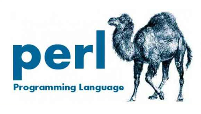 Best Perl Application Provider